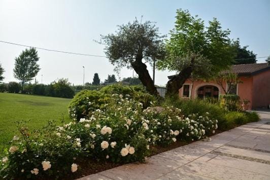 Day, Garden, Garden