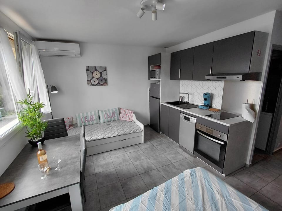 Palavas Beau studio avec Parking Climatisation Apartment in Palavas-les-Flots