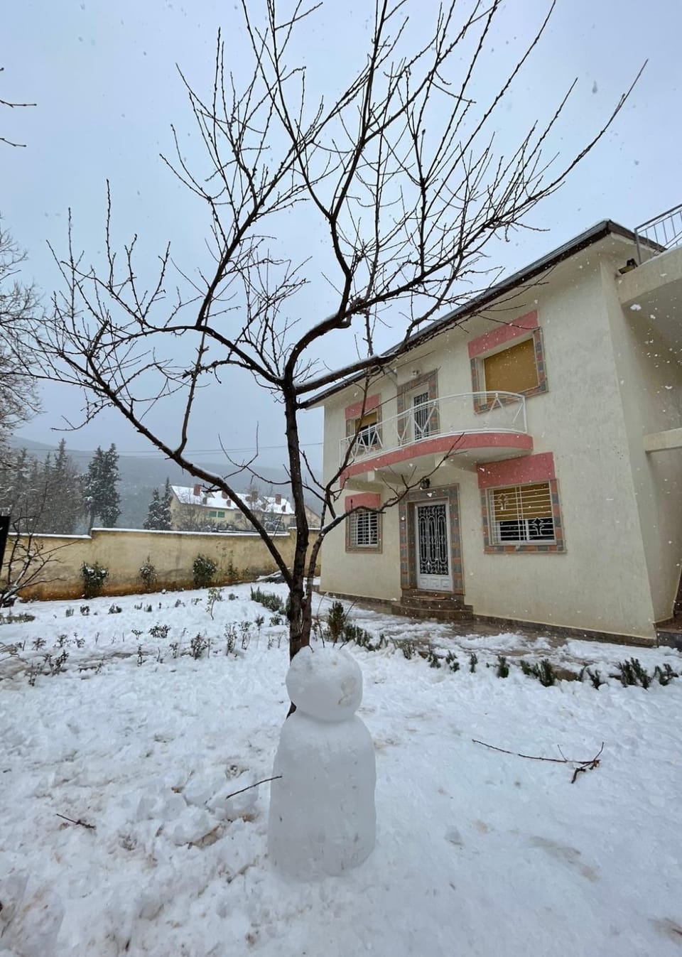 Winter