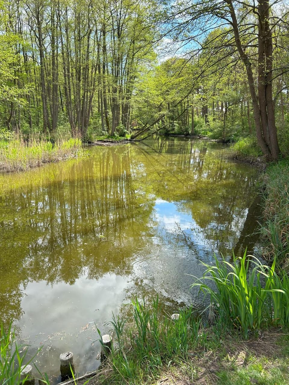 Domki Blisko Morza Nature lodge in West Pomeranian Voivodeship, Poland