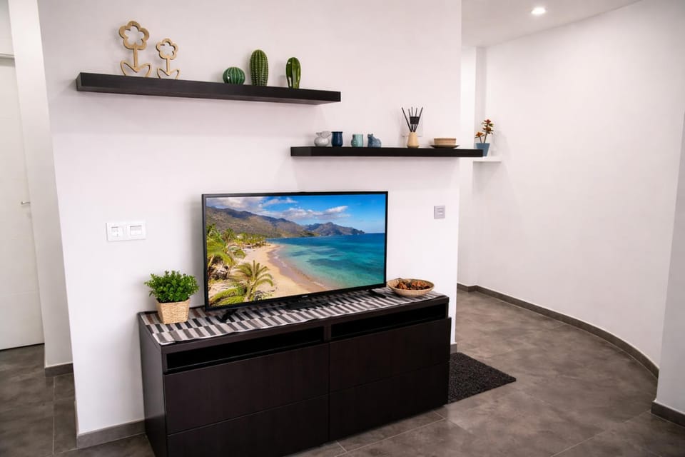 TV and multimedia