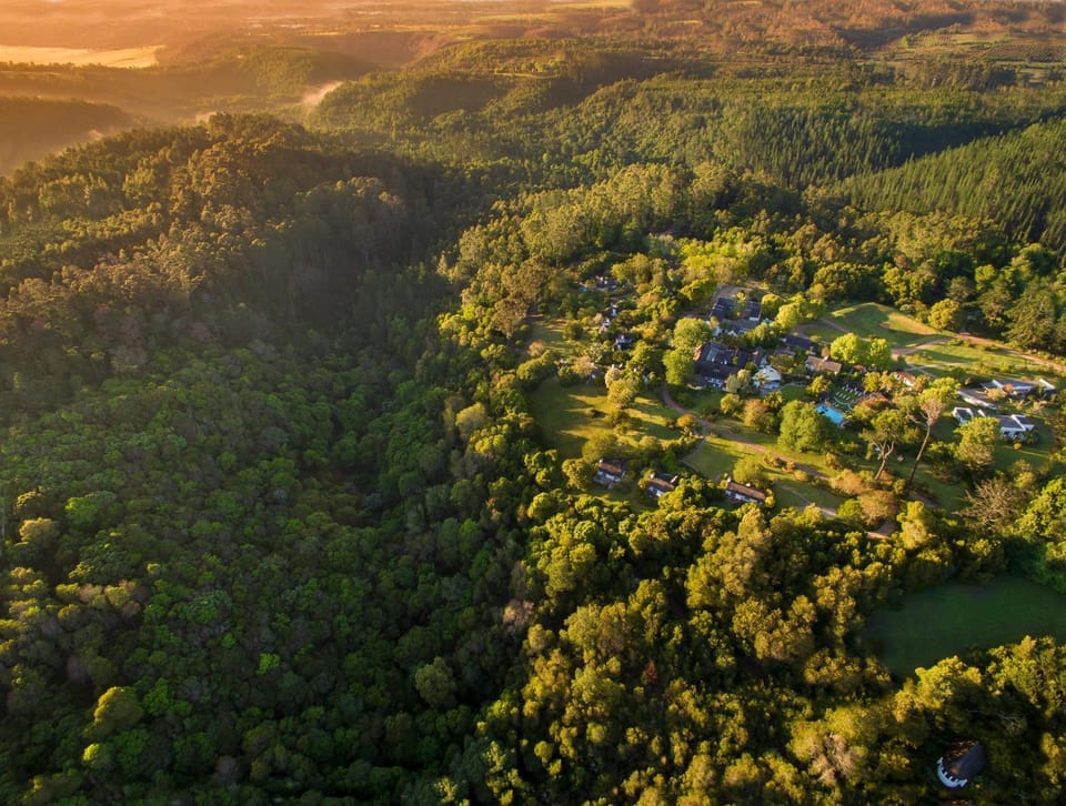 Bird's eye view, Garden
