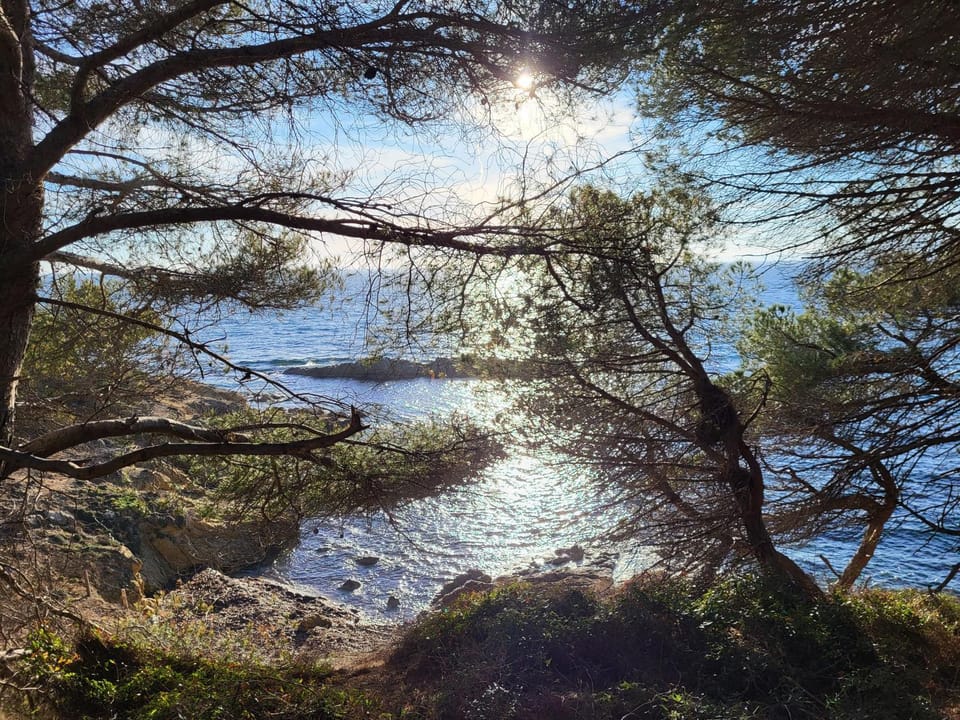 Havre de paix à deux pas du centre ville et de la plage Apartment in Cavalaire-sur-Mer