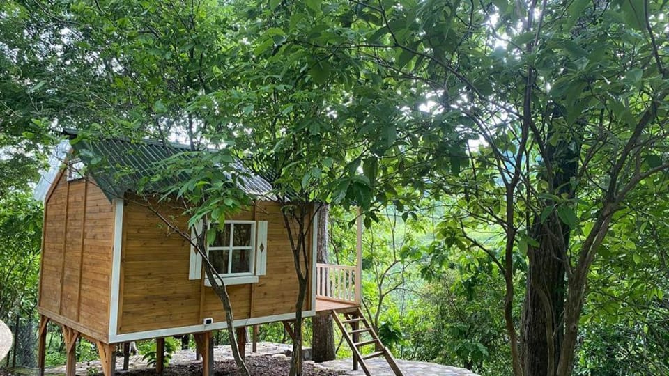 Casa Cumbres Ecolodge Nature lodge in Casanare, Colombia