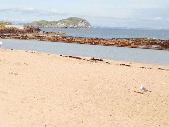 Natural landscape, Beach, Landmark view, Sea view