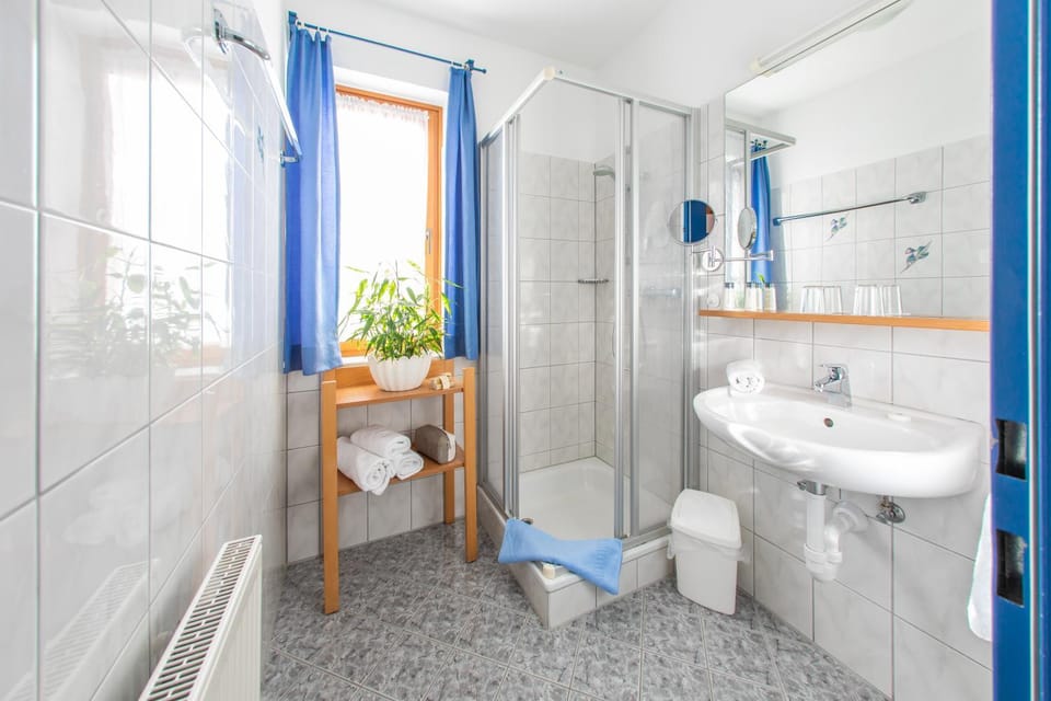 Shower, Toilet, Bathroom, Mountain view, Mountain view