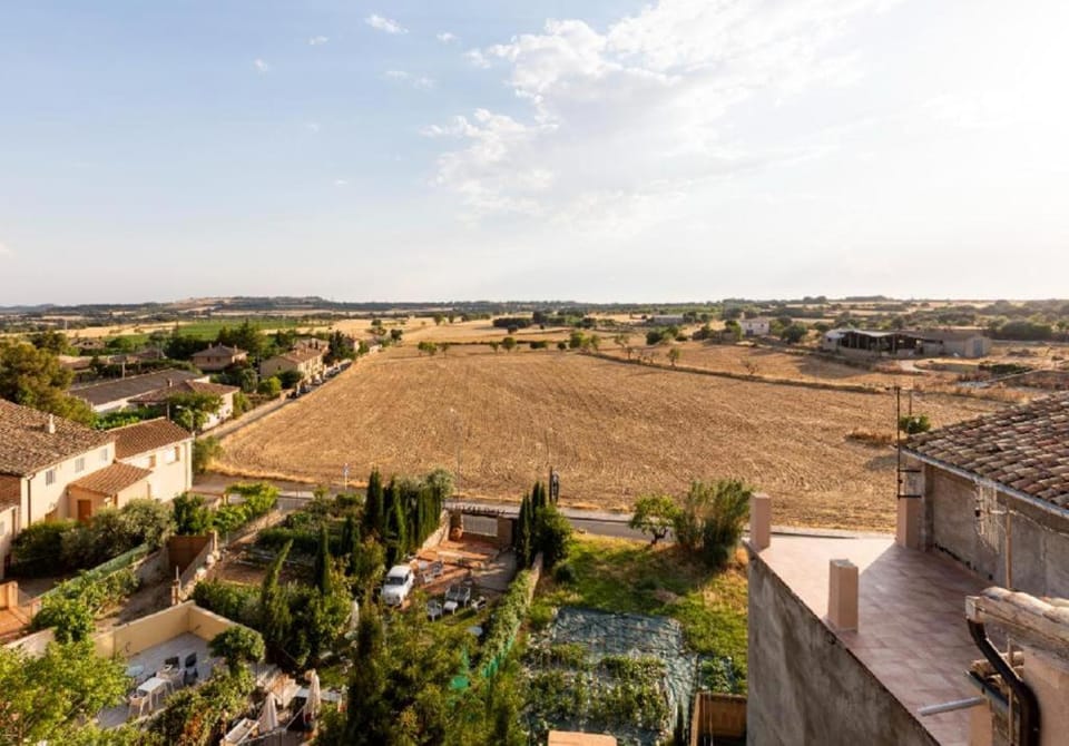 Bird's eye view, City view
