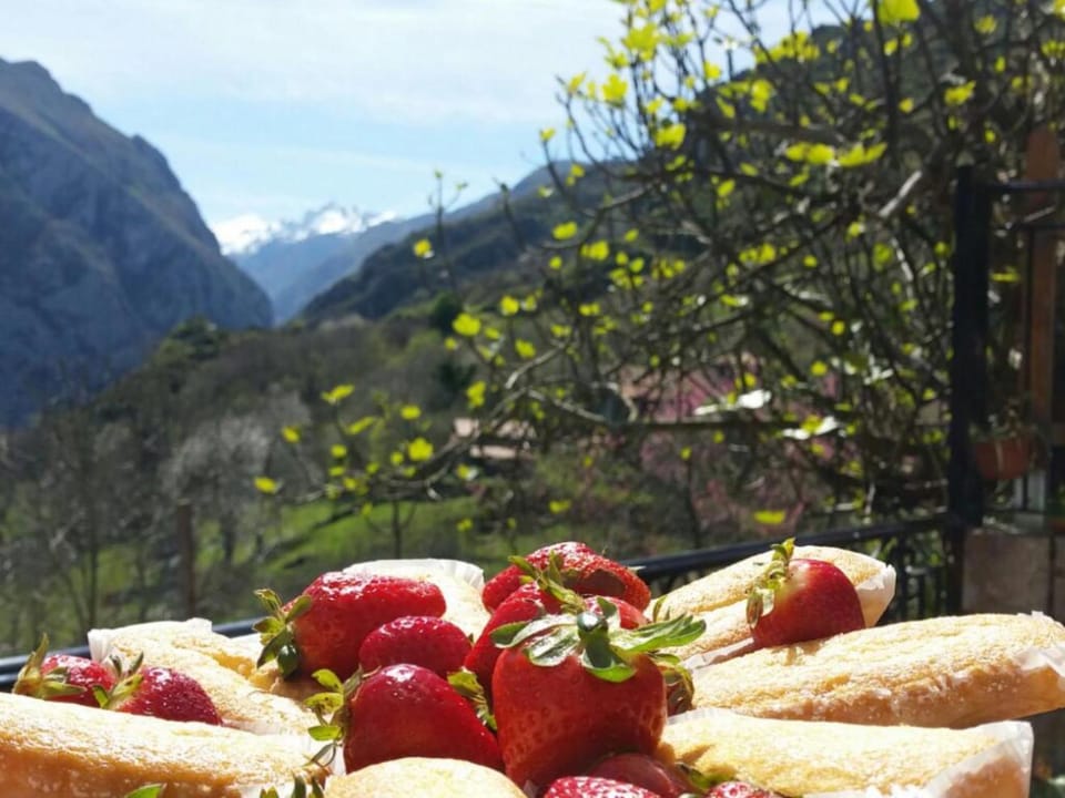 Garden, Food and drinks, Breakfast