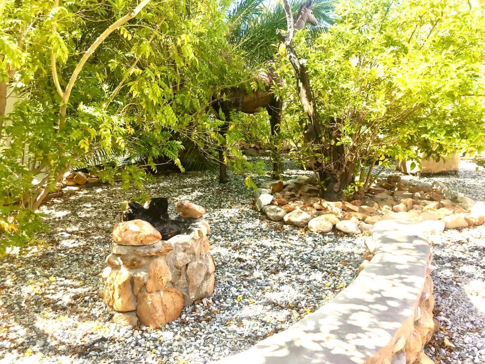 BBQ facilities, Garden