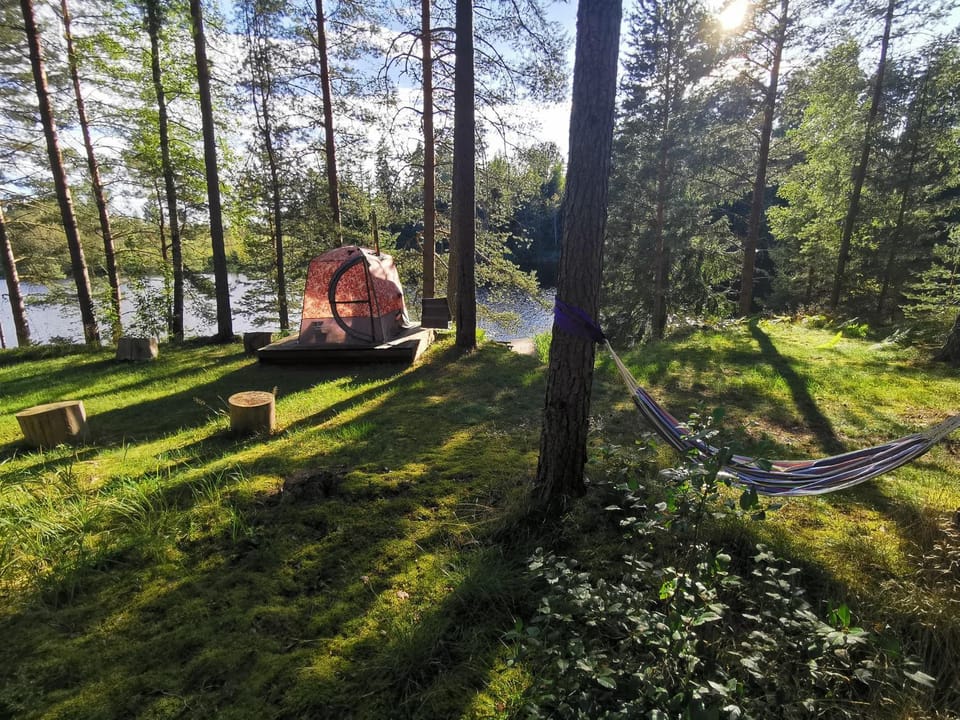 Lake view