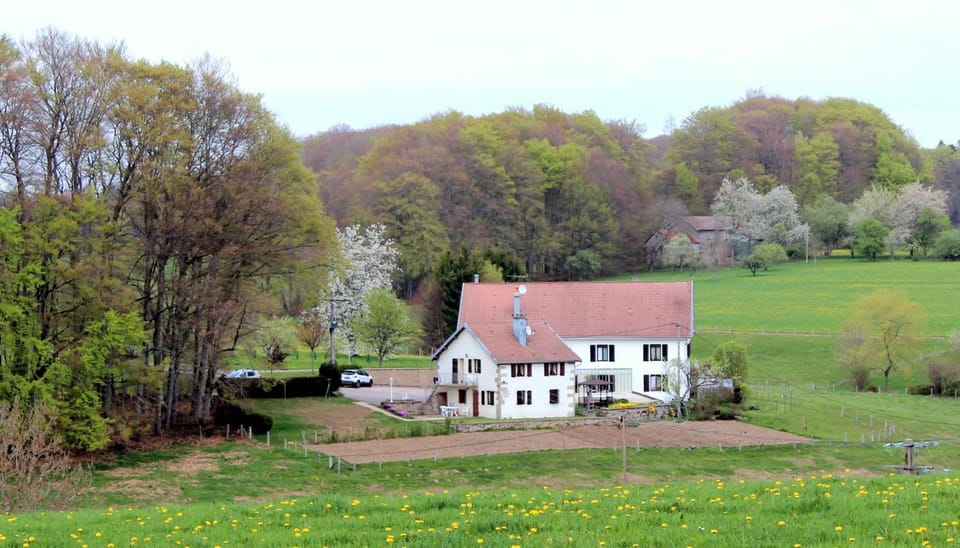 Property building, Spring, Natural landscape
