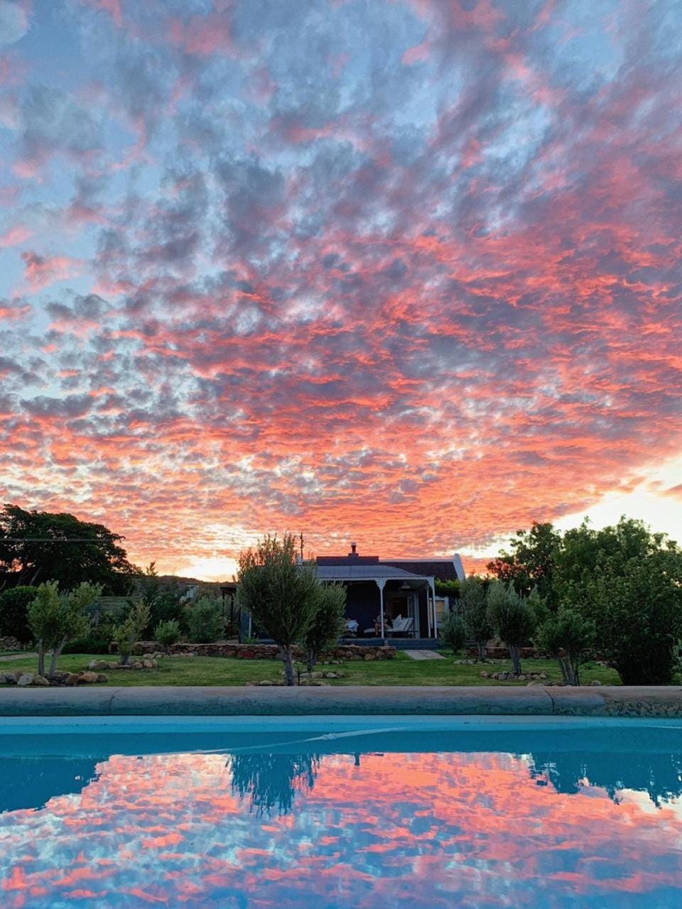 Pool view