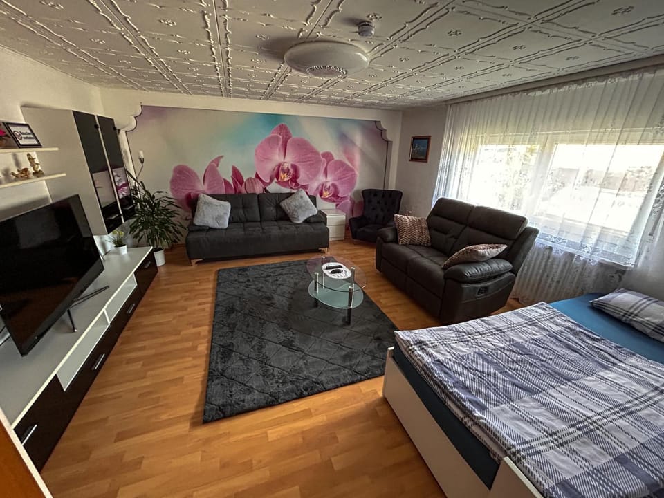 Communal lounge/ TV room, TV and multimedia, Living room, Photo of the whole room