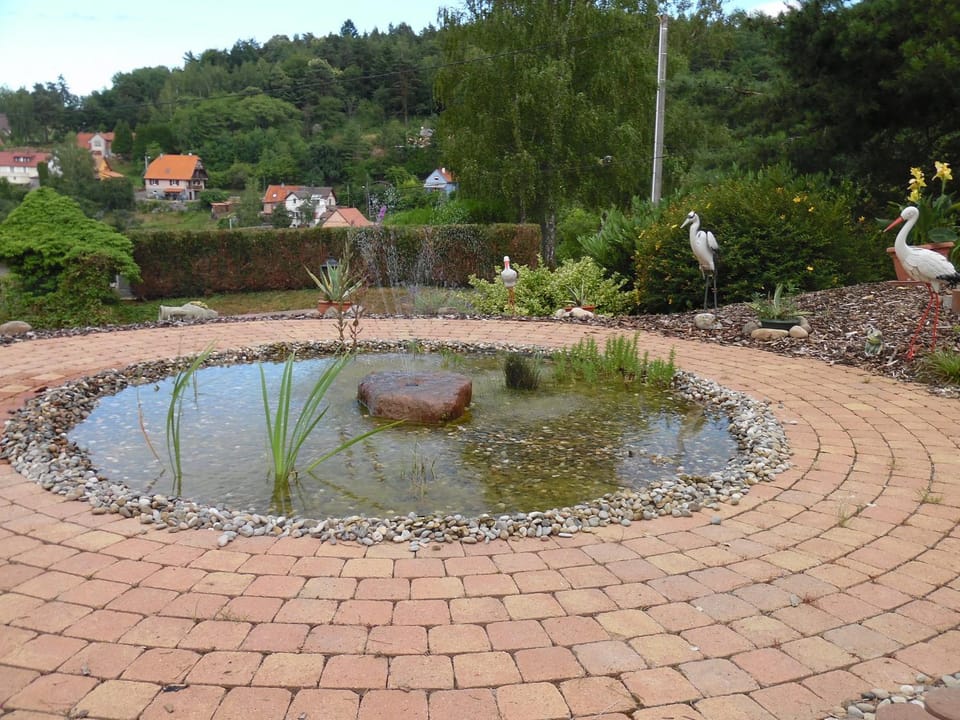 Le Charme de l'Altenberg House in Grand Est