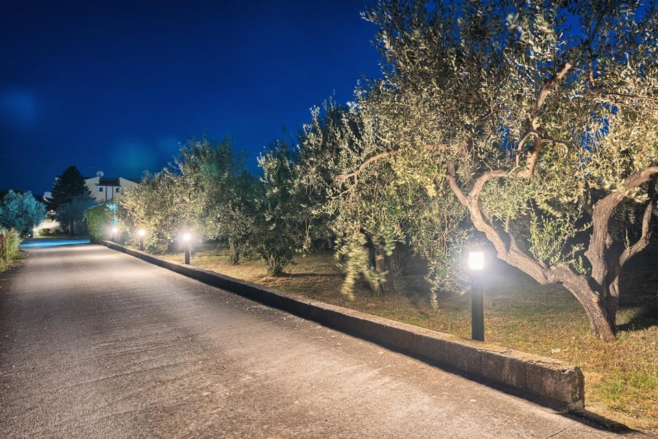 Night, Neighbourhood, Natural landscape