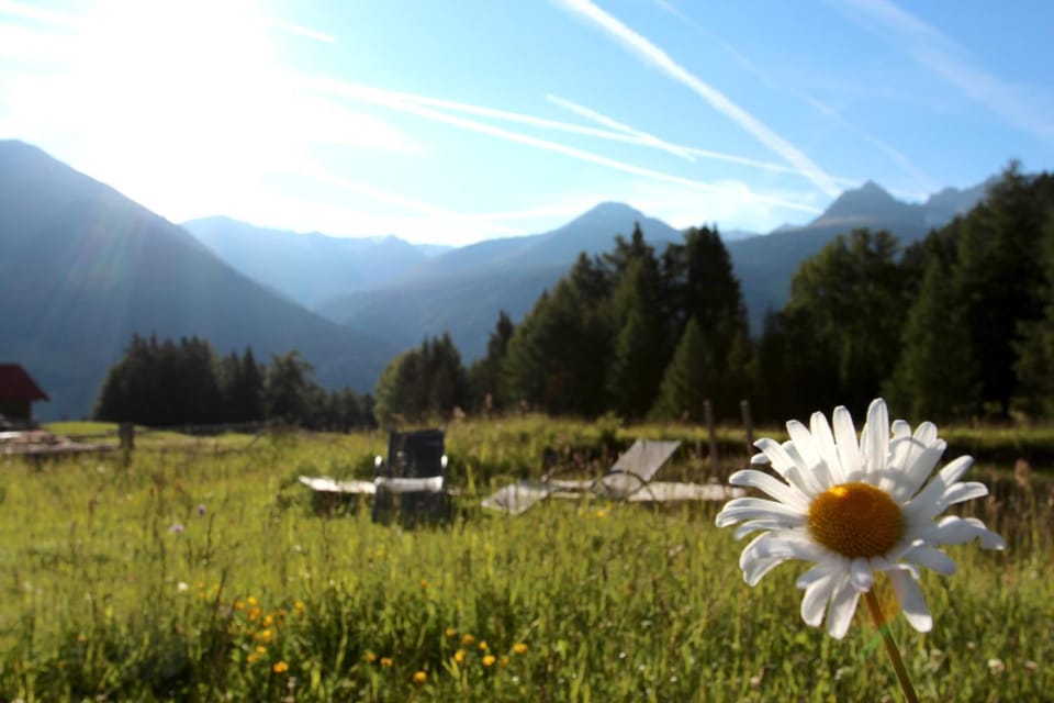 Spring, Natural landscape, Garden, Mountain view, Swimming pool