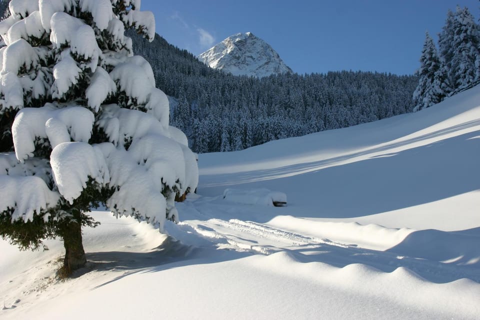 Natural landscape, Winter