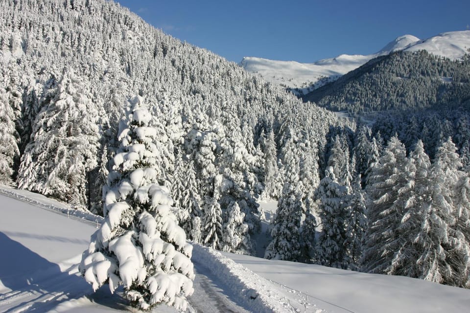 Natural landscape, Winter, Mountain view
