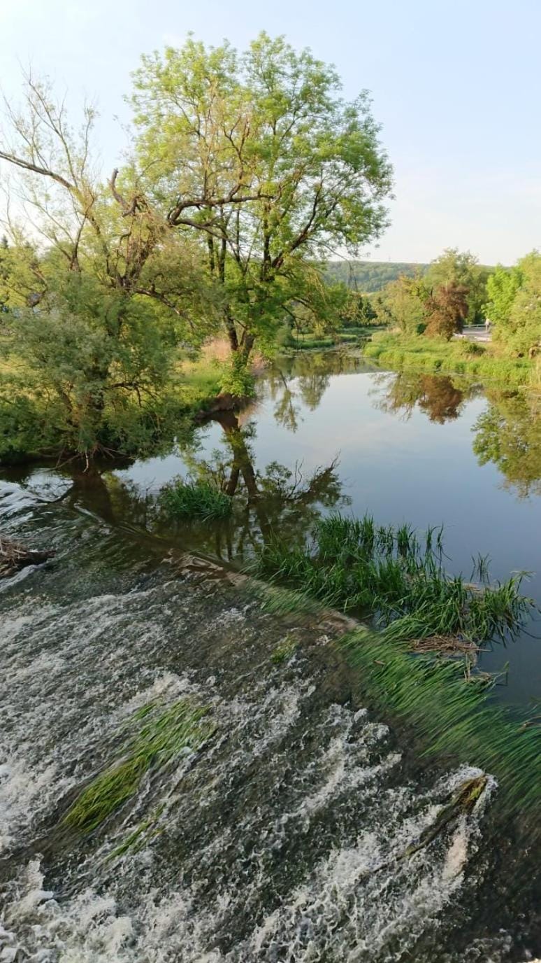 Pension Moserhaus Bed and Breakfast in Bavaria