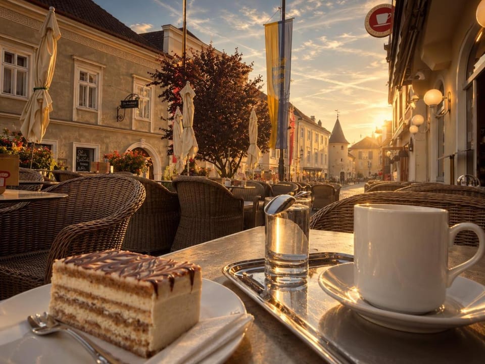 Madar Café Restaurant zum Fürsten Inn in Austria