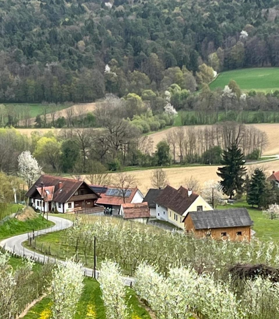 Spring