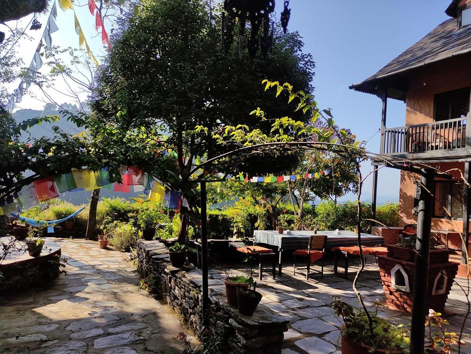 Property building, Garden, Garden view