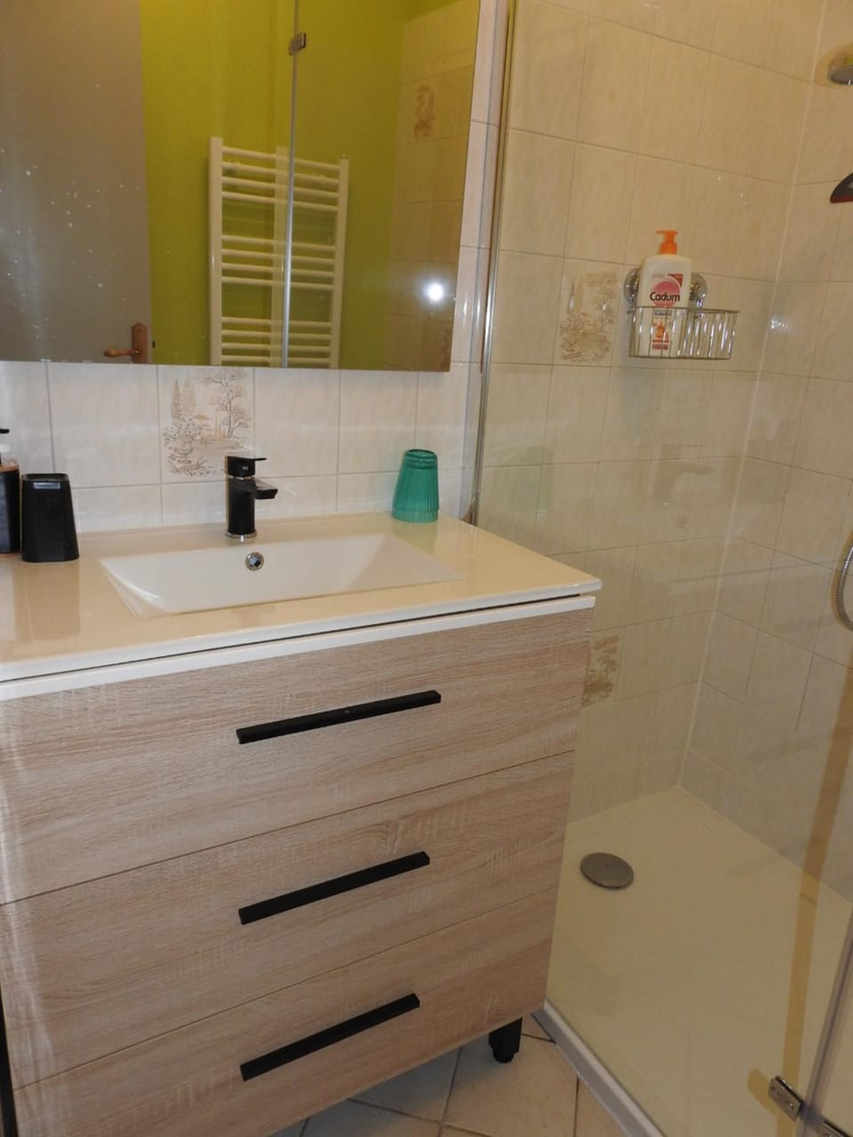 Shower, Bathroom