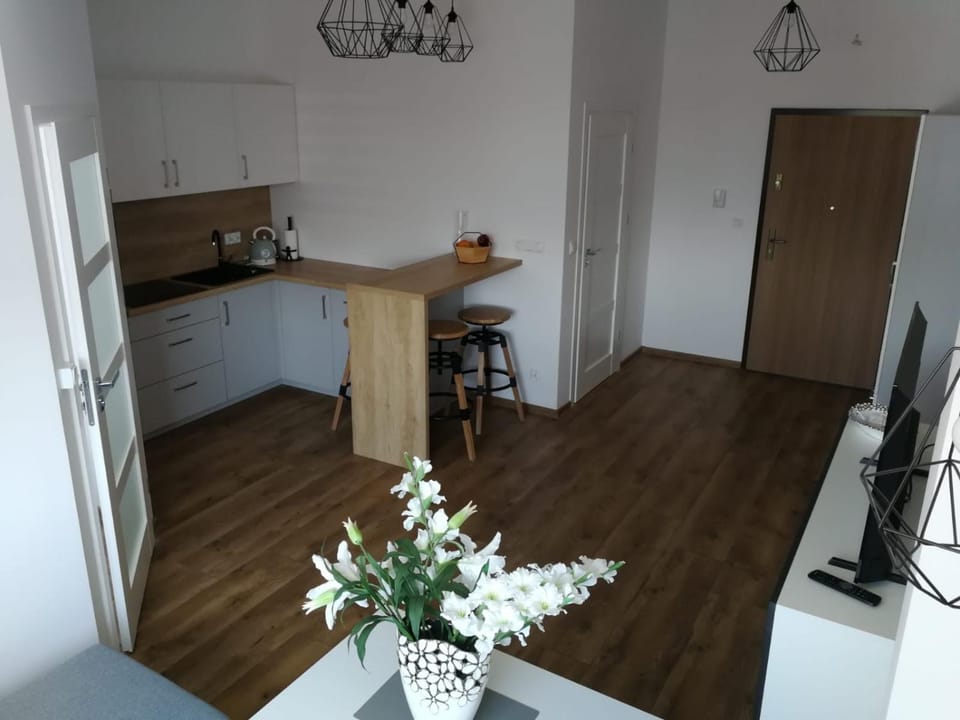 Apartament Liliana Apartment in Pomeranian Voivodeship