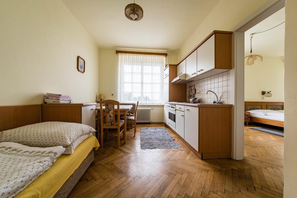 Kitchen or kitchenette, Living room, Seating area, Dining area, Bedroom