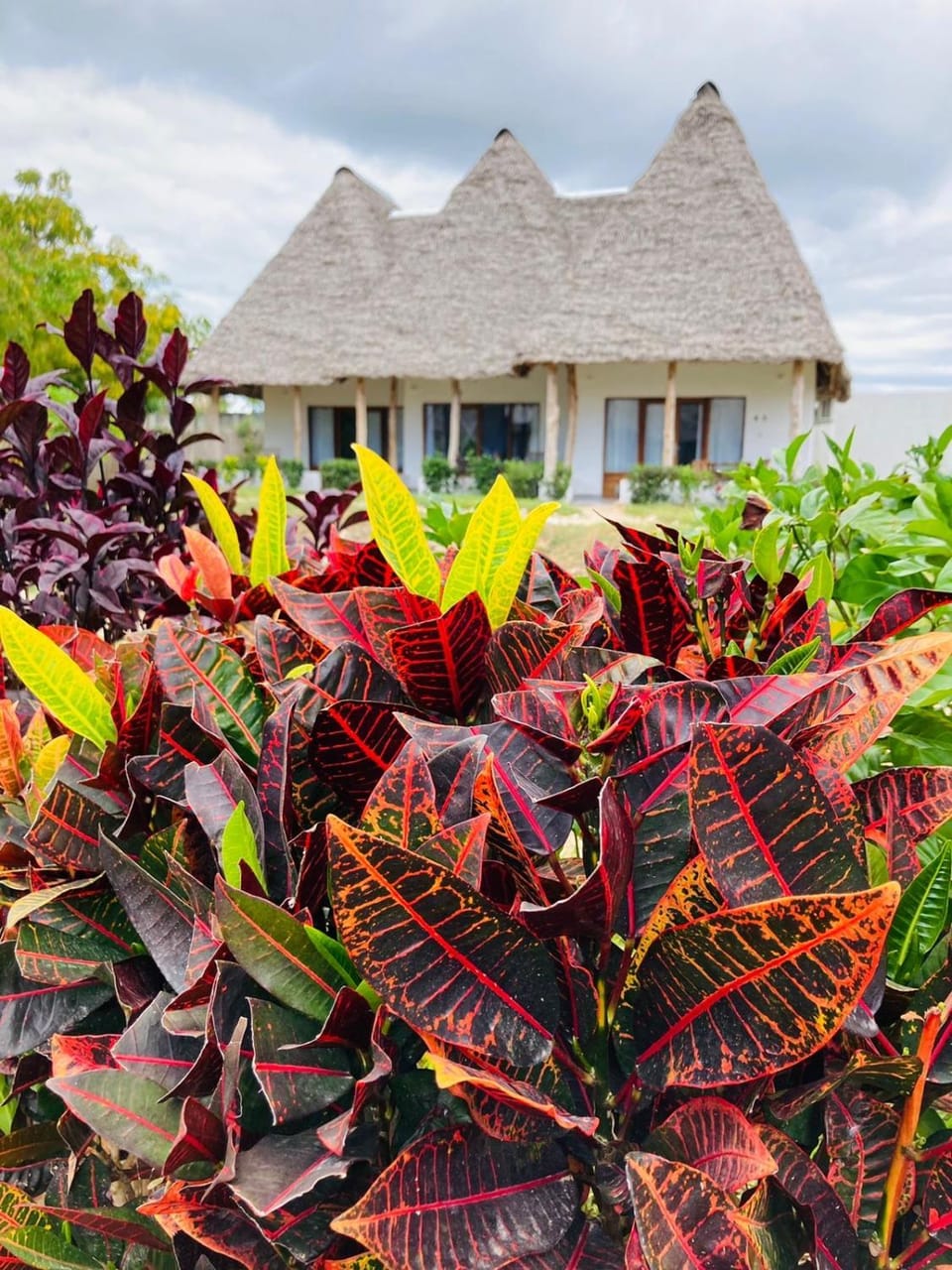 MITI Beach Bungalows Bed and Breakfast in Unguja North Region