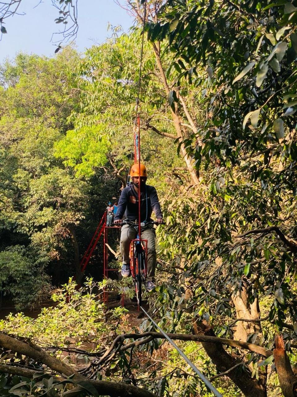 Activities