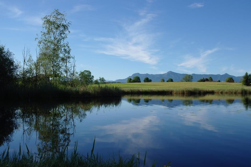 Natural landscape