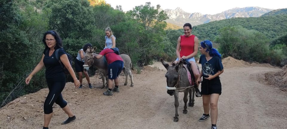 Hiking