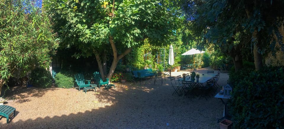 Garden view