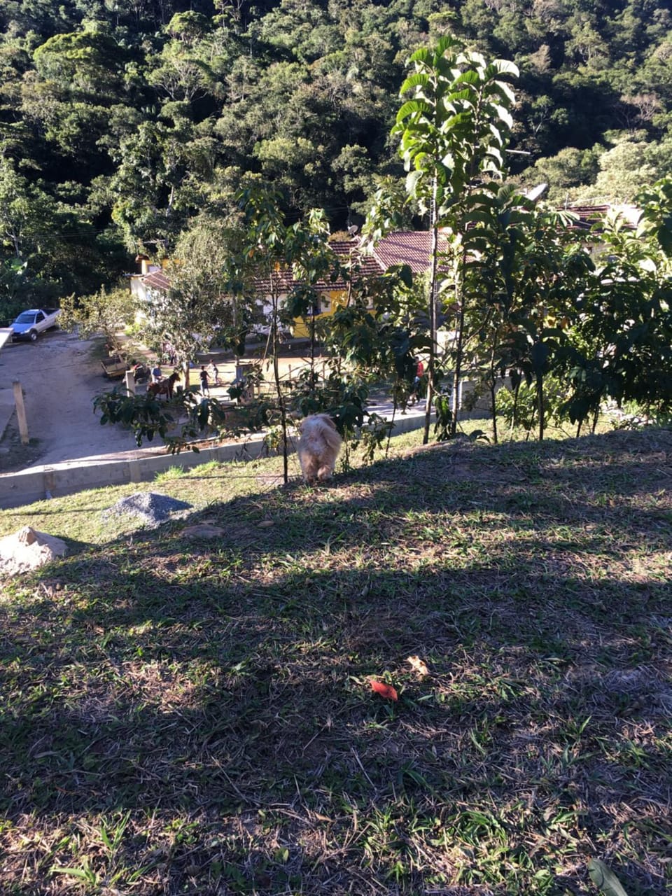 Meu cantinho na serra House in State of Rio de Janeiro
