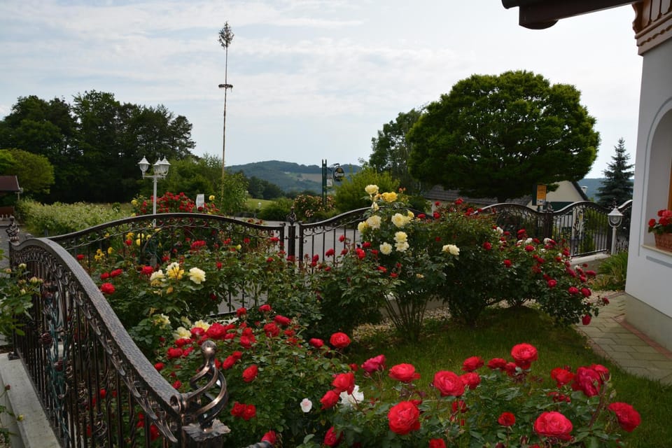Natural landscape, Garden, View (from property/room), Balcony/Terrace, Garden view, Landmark view, Mountain view