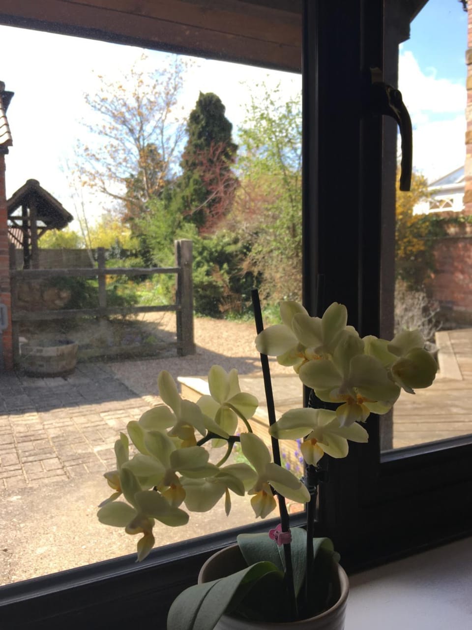 Garden view