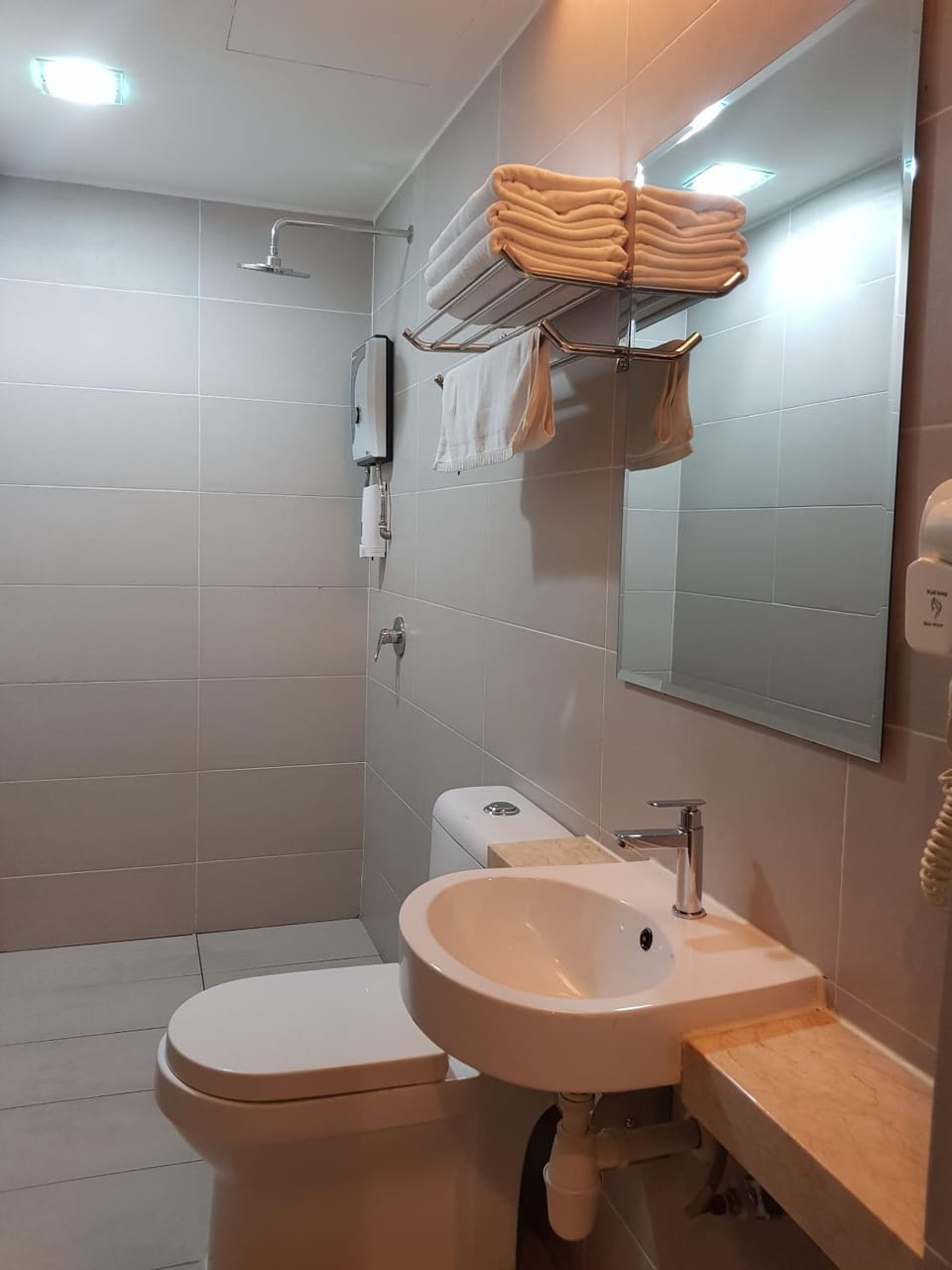 Toilet, Other