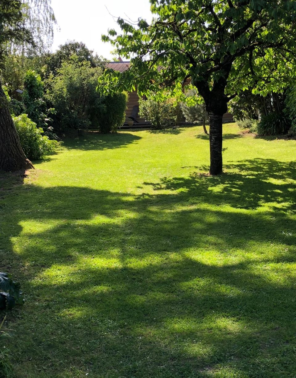 Garden, Garden view