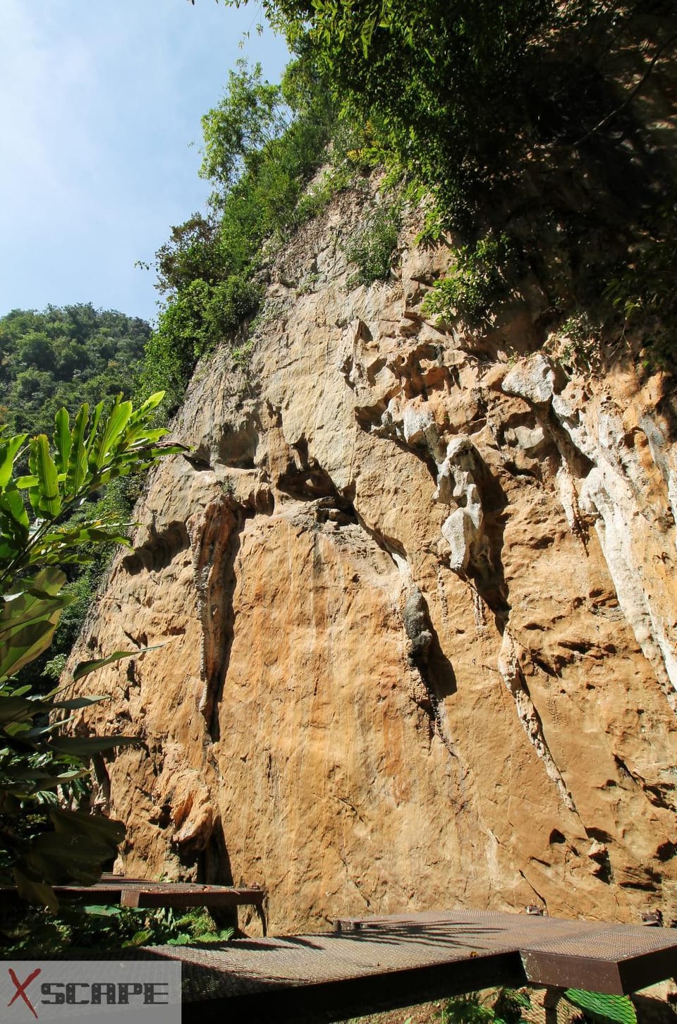 Natural landscape