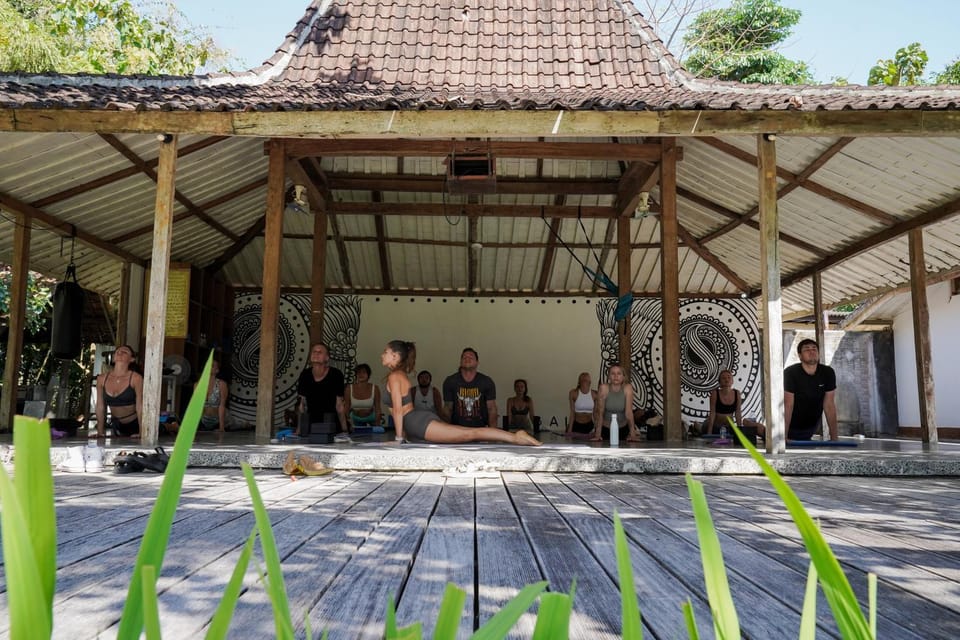 Day, Activities, Garden, Spa and wellness centre/facilities, Fitness centre/facilities, Garden view, Area and facilities, Sports, group of guests