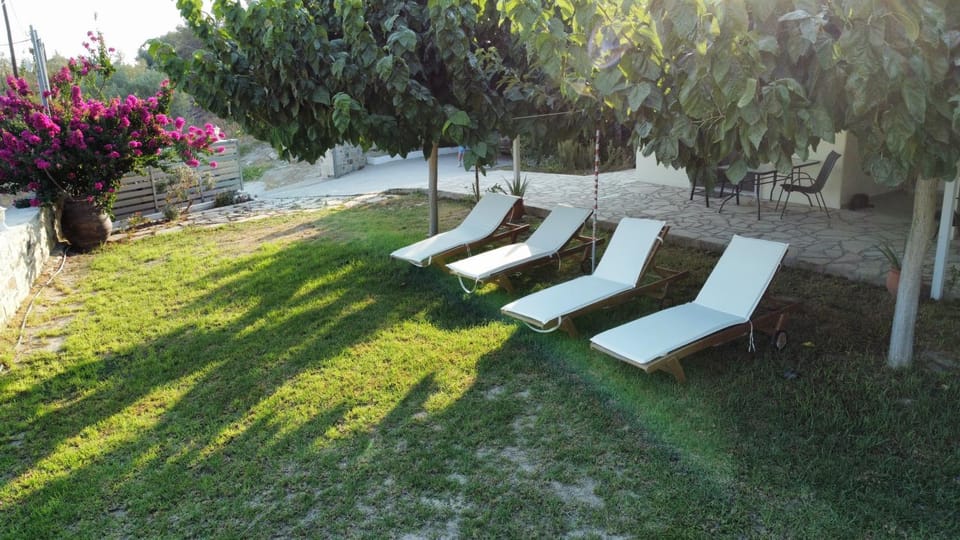 Property building, Garden view