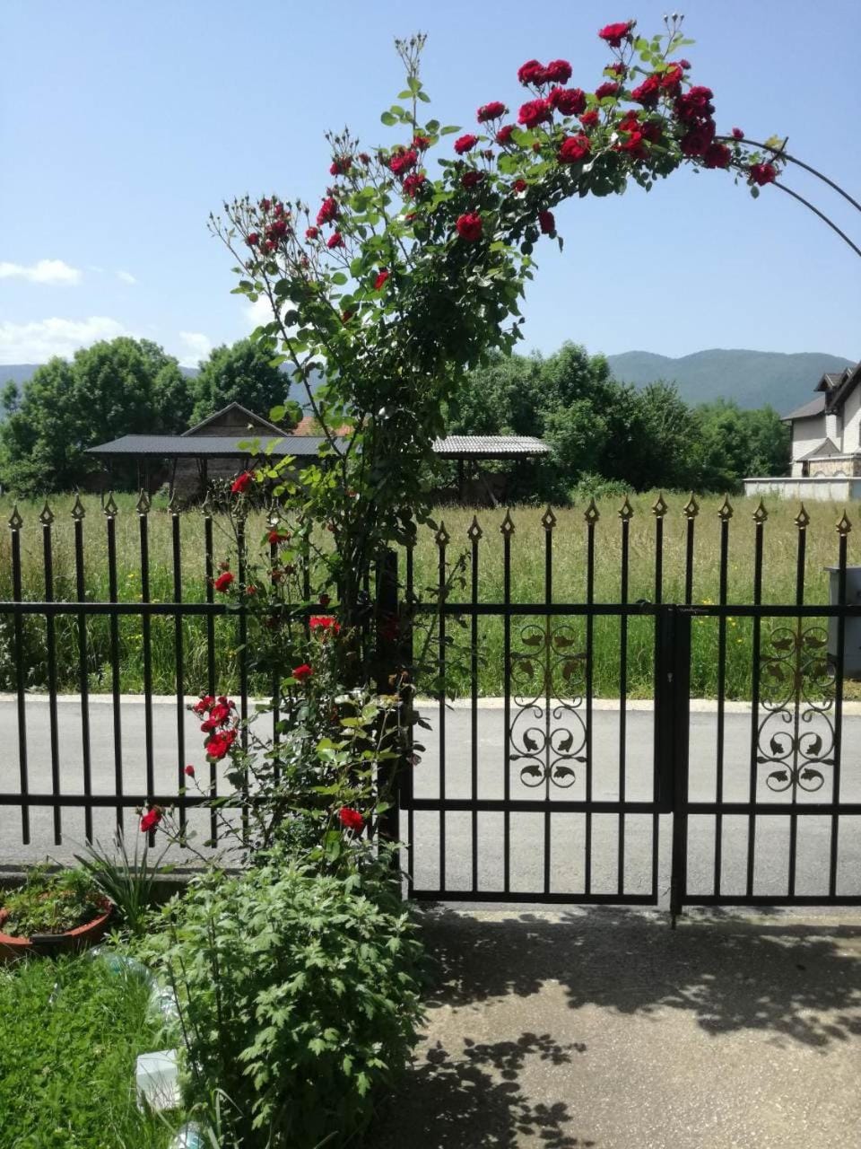 Facade/entrance