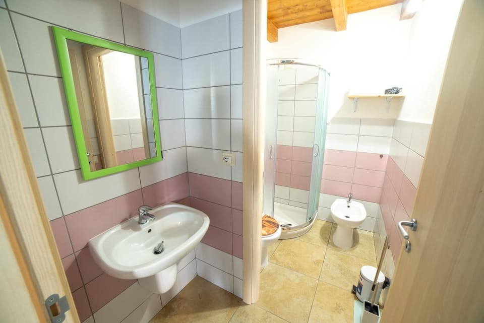 Shower, Bathroom, bidet