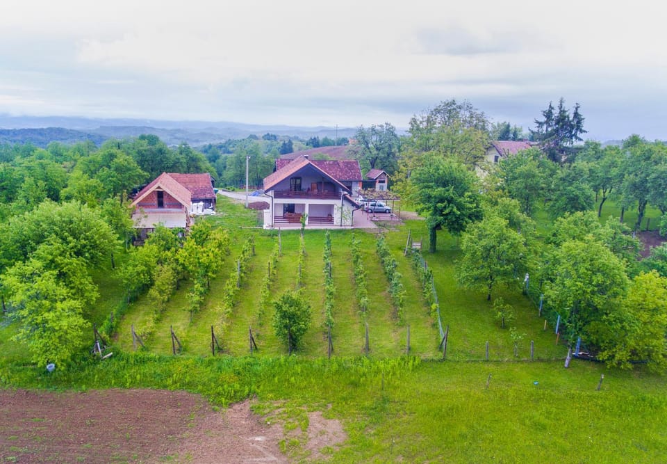 Property building, Neighbourhood, Garden
