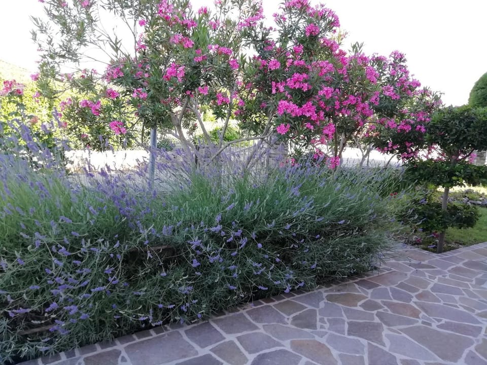 Apartmani Vesna Apartment in Istria County