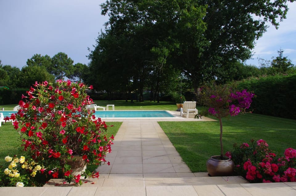 Garden, Swimming pool
