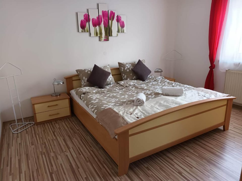 Four Season Apartment Irene Apartment in Upper Austria