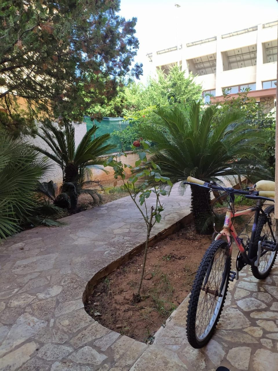Garden view