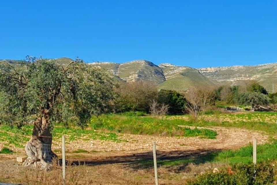 Natural landscape